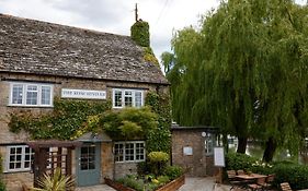 Rose Revived By Chef & Brewer Collection